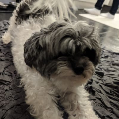 DatKami's profile picture