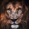 JR.'s profile picture