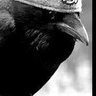 Profilbild von Bird Guy