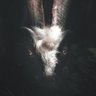 ManQoba Wizy's profile picture