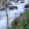 احترام الرأي والرأي الآخر 的头像