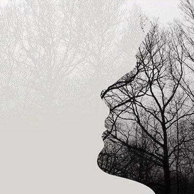 btc668's profile picture