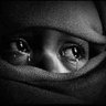 اوجاع مغترب's profile picture