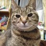 みもさん's profile picture