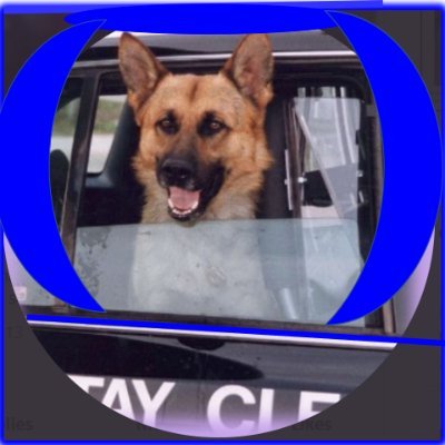 CBCAElite1's profile picture