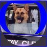 CBCaElite1 profil fotoğrafı