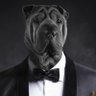 DogInSuit 的头像