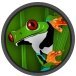 Фото профиля chechutron🐸