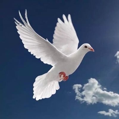 letuspraytoGod's profile picture
