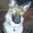 Profilbild von Jeff Bourne