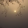 Vruddhi Patel's profile picture