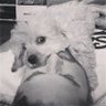 Zacboy's profile picture