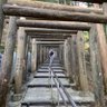 しののん profil fotoğrafı