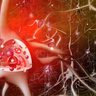 redsynapse 的头像