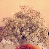 لاإله إلا الله profil fotoğrafı