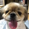 埴谷正勝 的头像