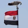 alaa maan profil fotoğrafı