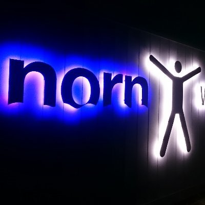 nornsnow's profile picture