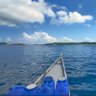 The Boat of the Internet 的头像