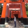Tardis 的头像