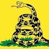 realSpirit1776's profile picture