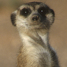 Denise's profile picture
