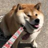 chuppop's profile picture