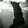 jr's profile picture