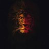 kinglion1905 profil fotoğrafı