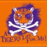 Фото профиля Tiger79