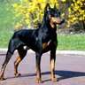 MG profil fotoğrafı