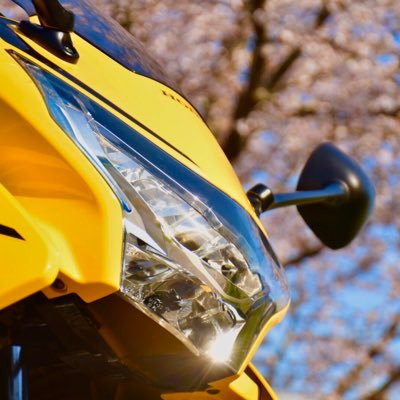 CBR_lemoncake's profile picture