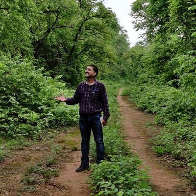 vijayp091's profile picture