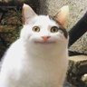 Profilbild von thexx10086