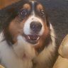 Profilbild von Twotills59