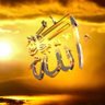 ابو علي الشمري 的头像