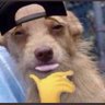 hehe's profile picture