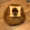 Daniela's profile picture