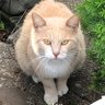 rhskw_365 ç倎å