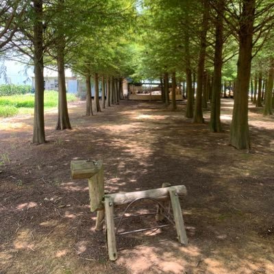 duck_left's profile picture