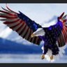 Patriot profil fotoğrafı