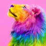 Фото профиля Richard E Burnett