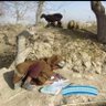 Izzat Momand's profile picture