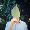 Profilbild von Midimmi