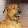 gamg73 profil fotoğrafı