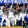 阪神大好き's profile picture