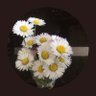 unter.joe's profile picture