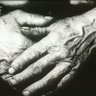 moravská rakvička bez šlehačky profil fotoğrafı