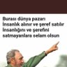 Kemal Tek's profile picture