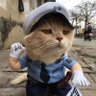 Profilbild von Twdan çıkıp yine tw giriyoruz